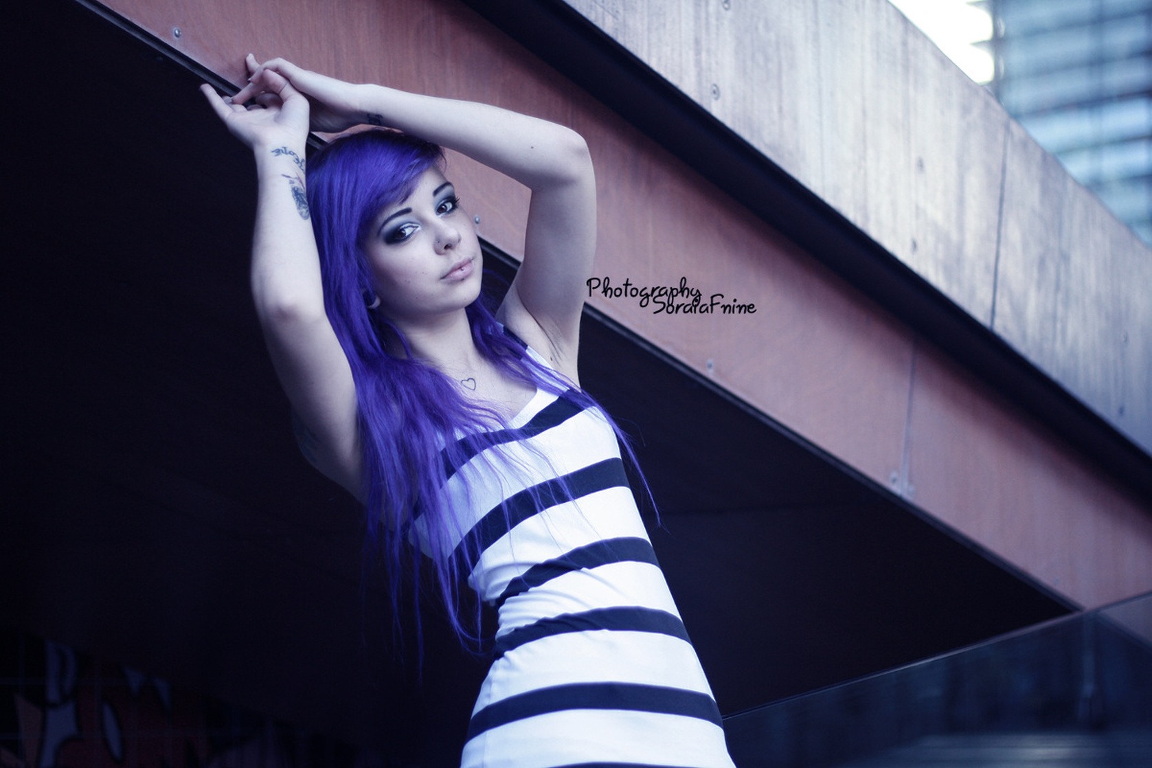 Plum Suicide