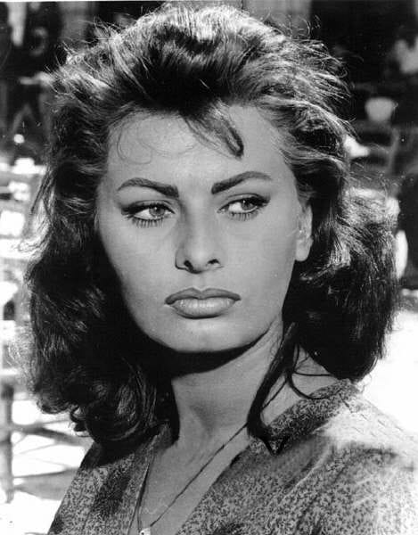 Picture of Sophia Loren