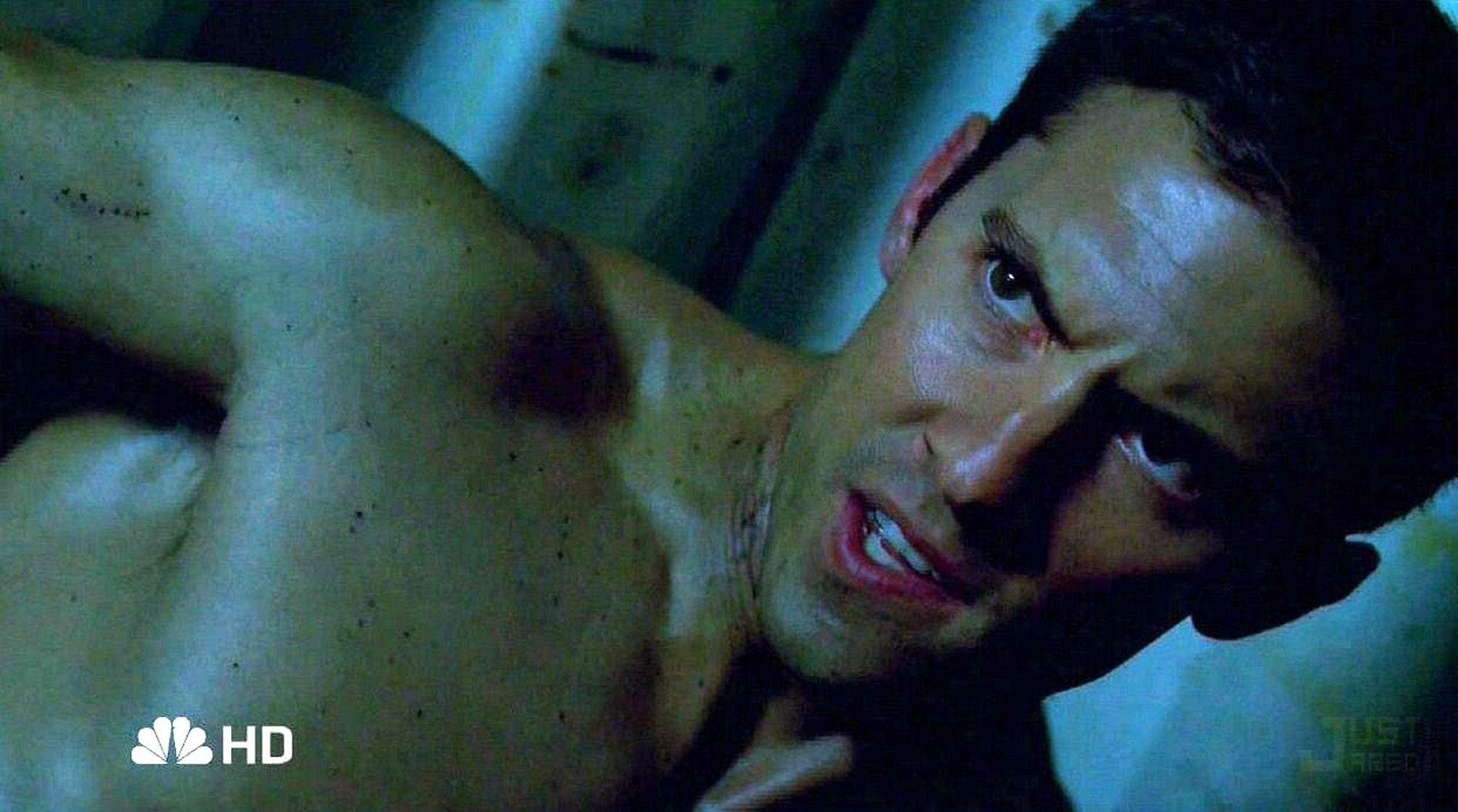 Milo Ventimiglia