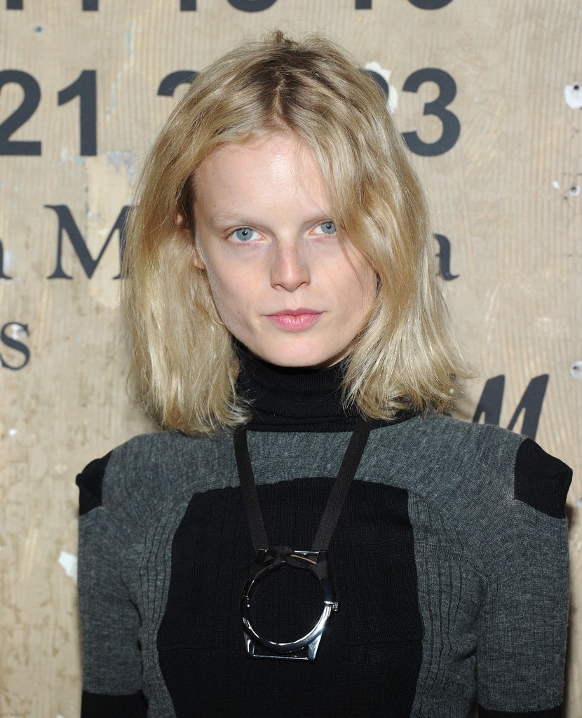 Picture of Hanne Gaby Odiele