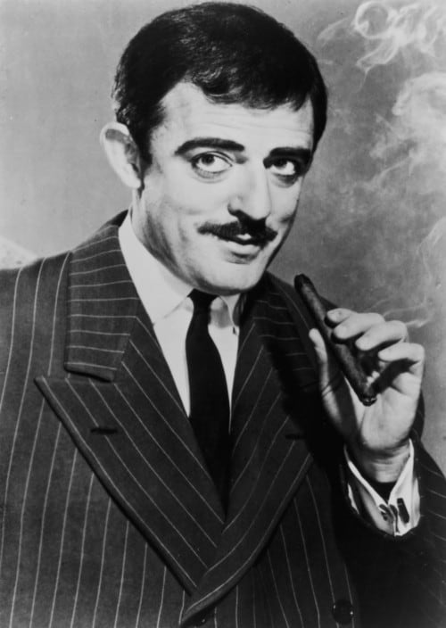 John Astin picture