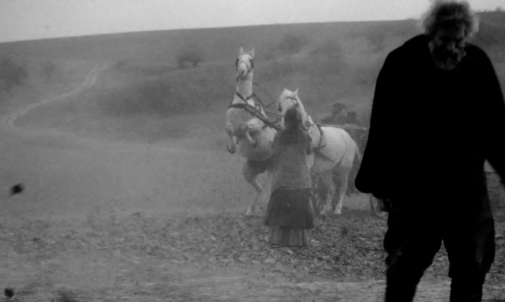 The Turin Horse (2011)