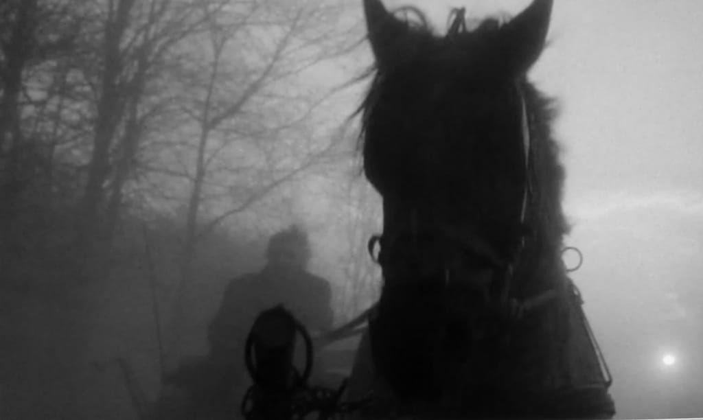 The Turin Horse (2011)