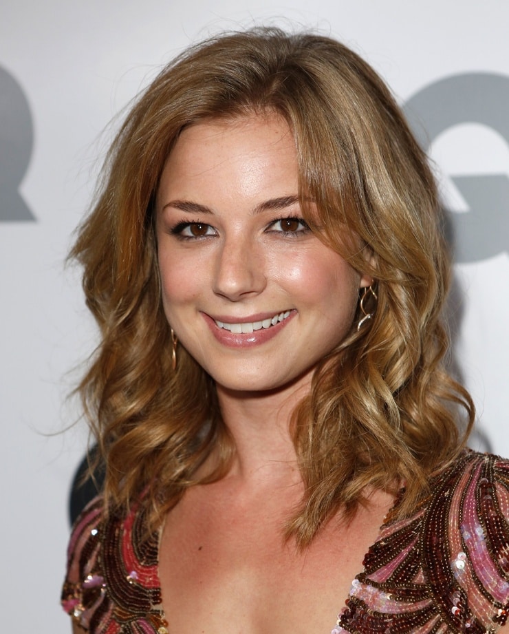 Emily VanCamp picture