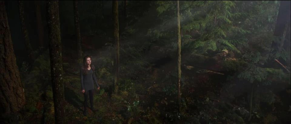 The Twilight Saga: Breaking Dawn: Part 2