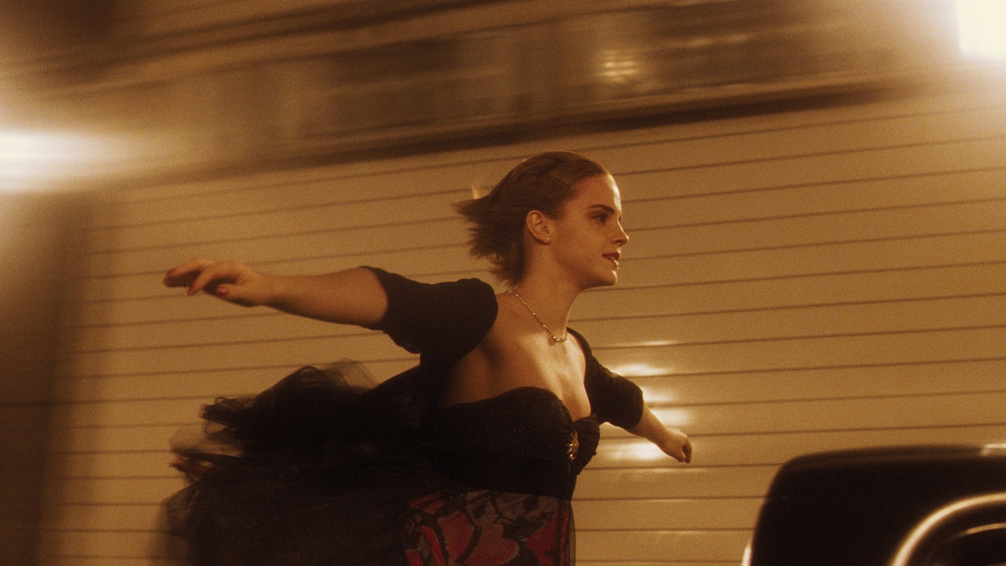 The Perks of Being a Wallflower The Perks of Being a Wallflower