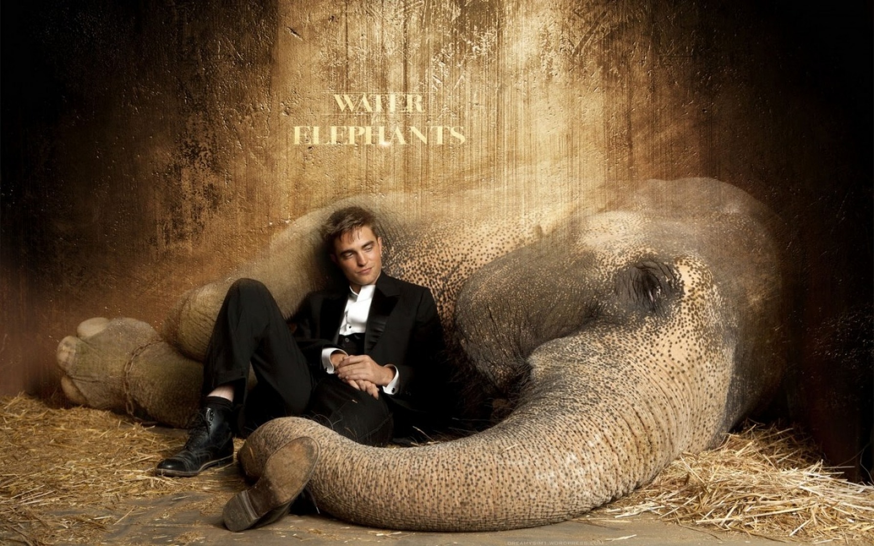 Water for Elephants