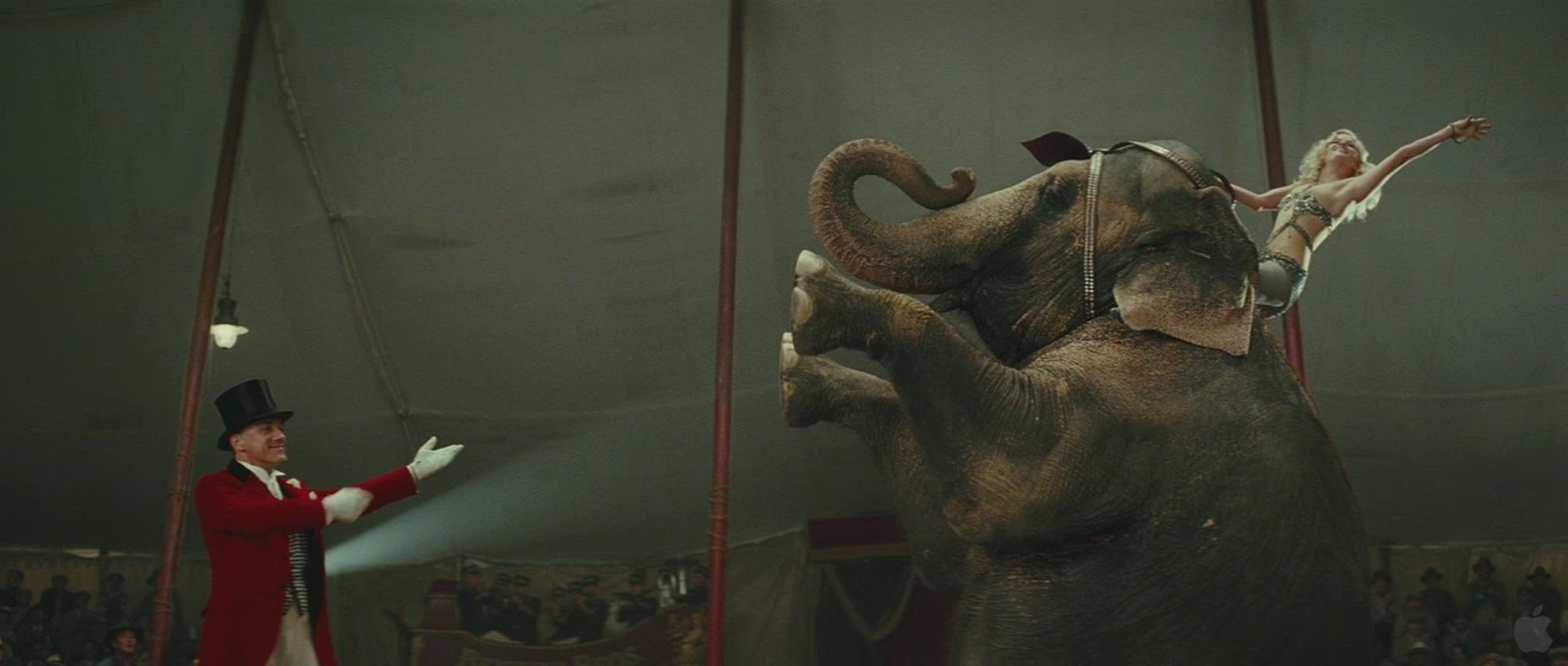 Water for Elephants