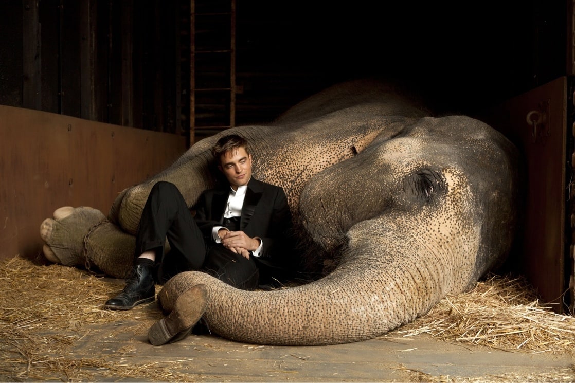 Picture Of Water For Elephants   1118full Water For Elephants Photo 