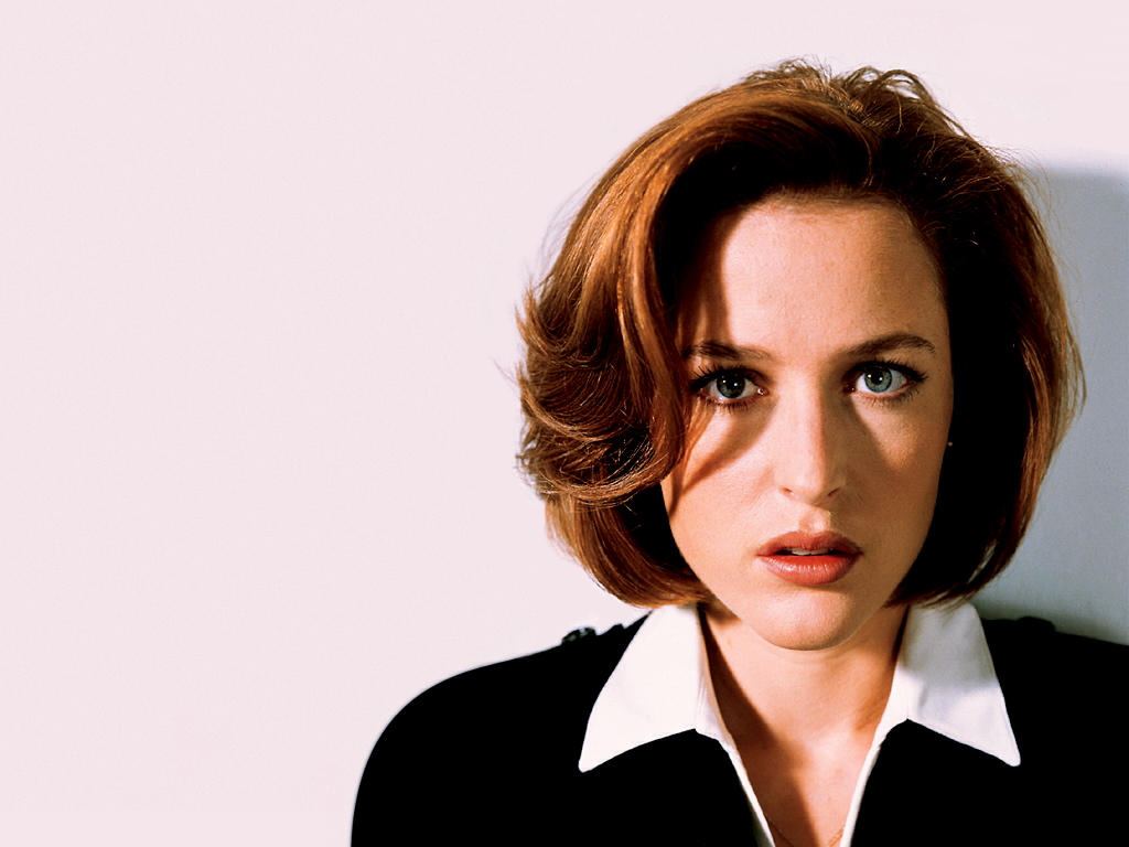 The X Files The X Files