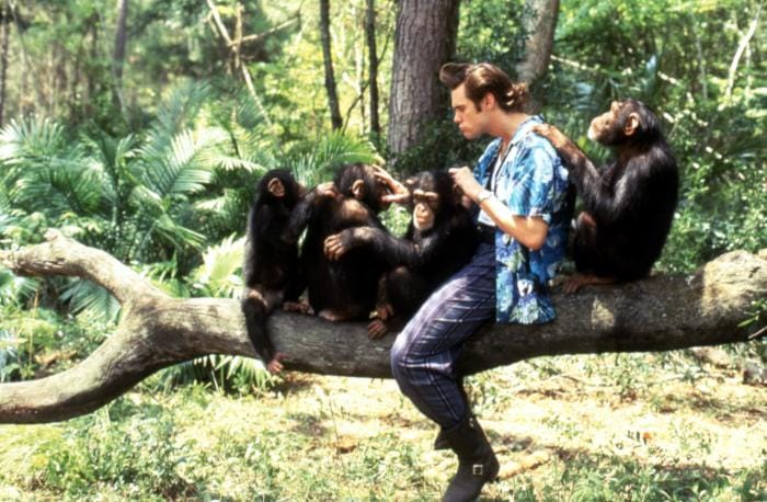 Ace Ventura: When Nature Calls image