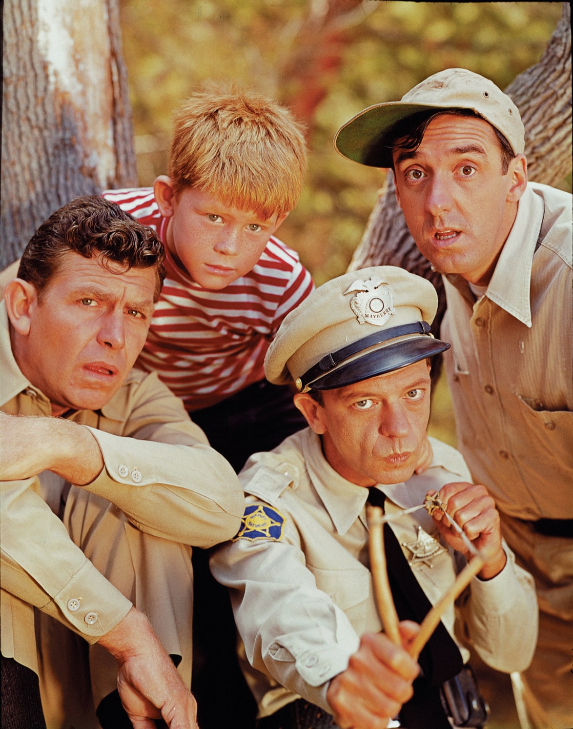 The Andy Griffith Show image