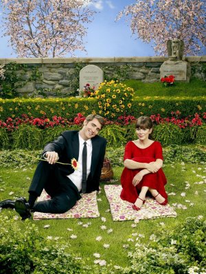 Picture of Pushing Daisies