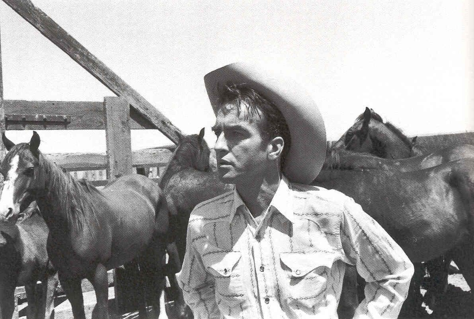 The Misfits