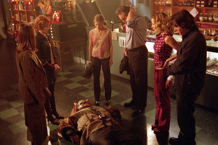 Buffy the Vampire Slayer Buffy the Vampire Slayer