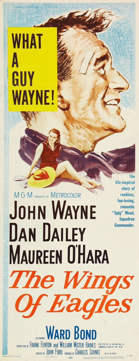 Picture of The Wings of Eagles