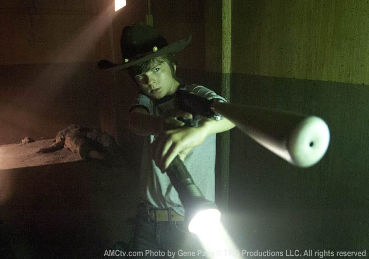 The Walking Dead The Walking Dead