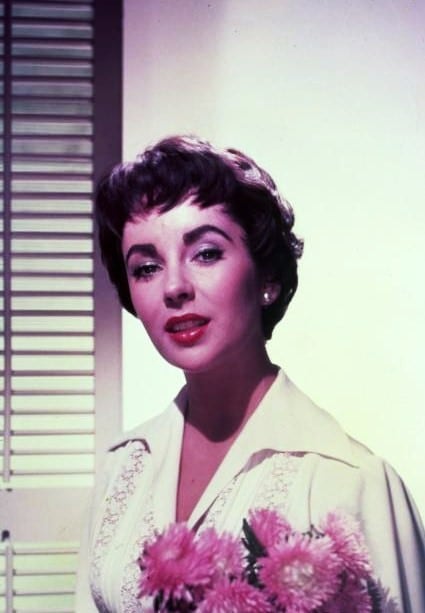 Picture Of Elizabeth Taylor