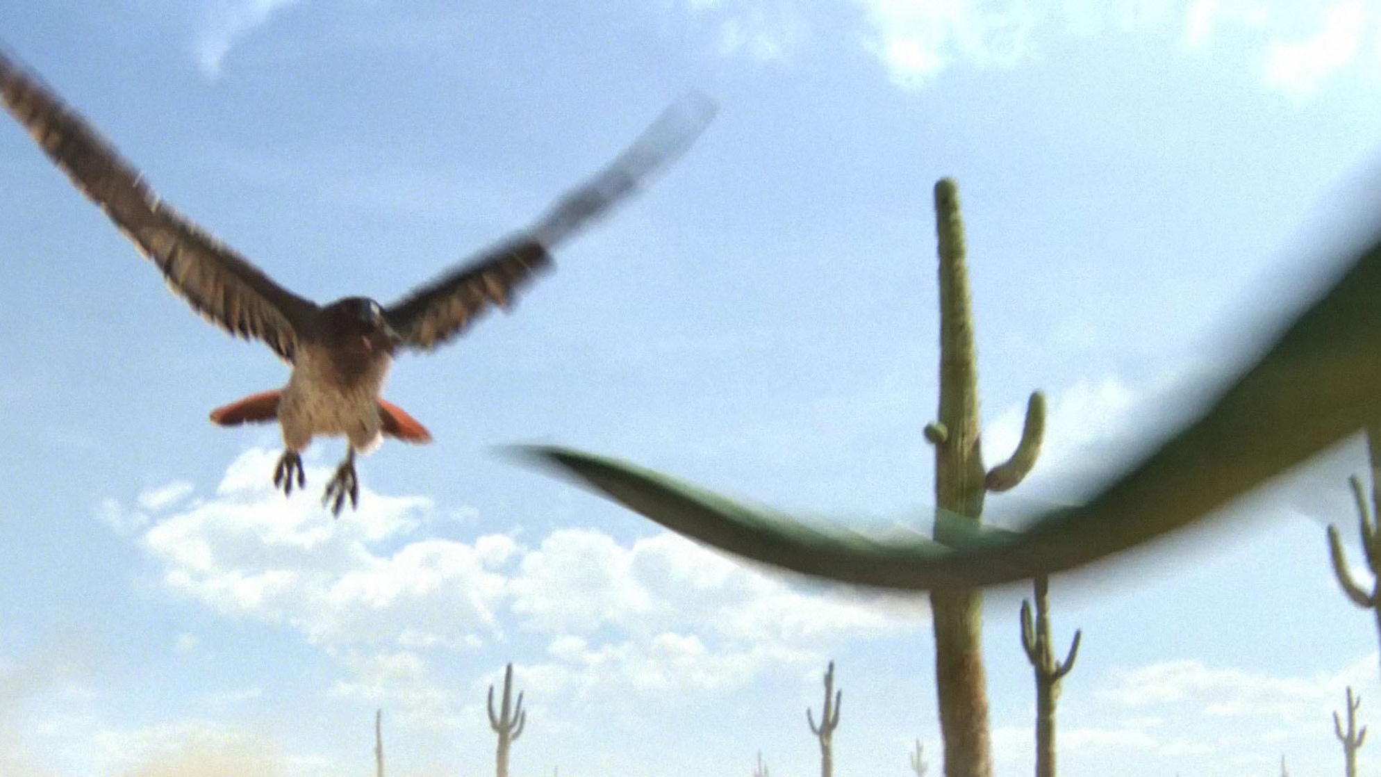 Rango