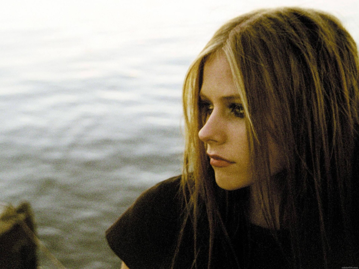 Avril Lavigne Avril Lavigne