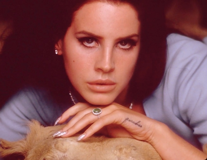 Lana Del Rey image