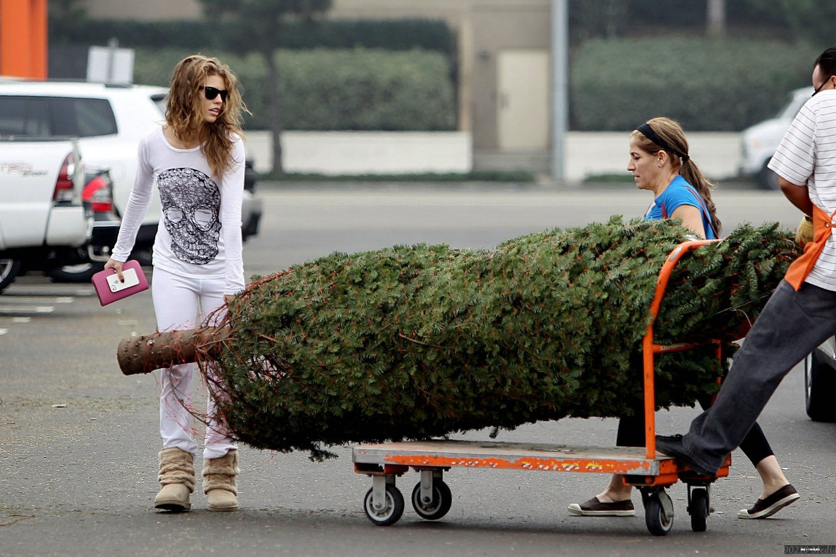 AnnaLynne McCord