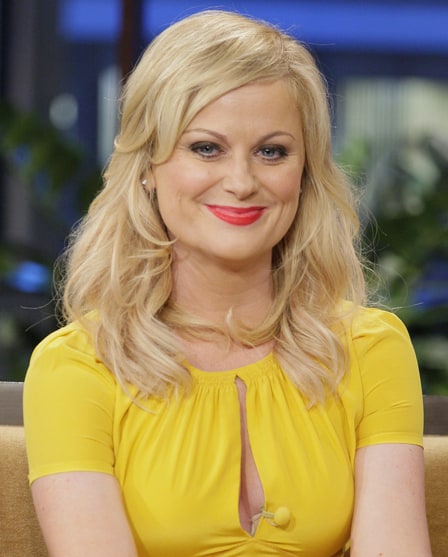 Amy Poehler Fake