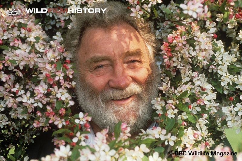 David Bellamy