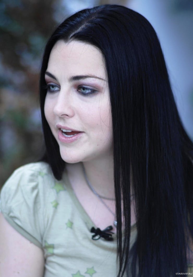 Amy Lee Picture