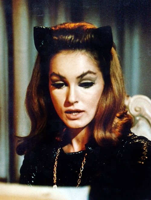 Julie Newmar image