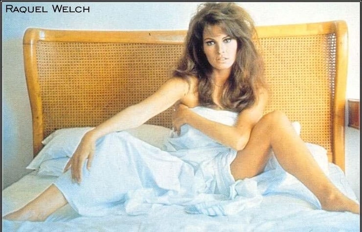 Picture of Raquel Welch.