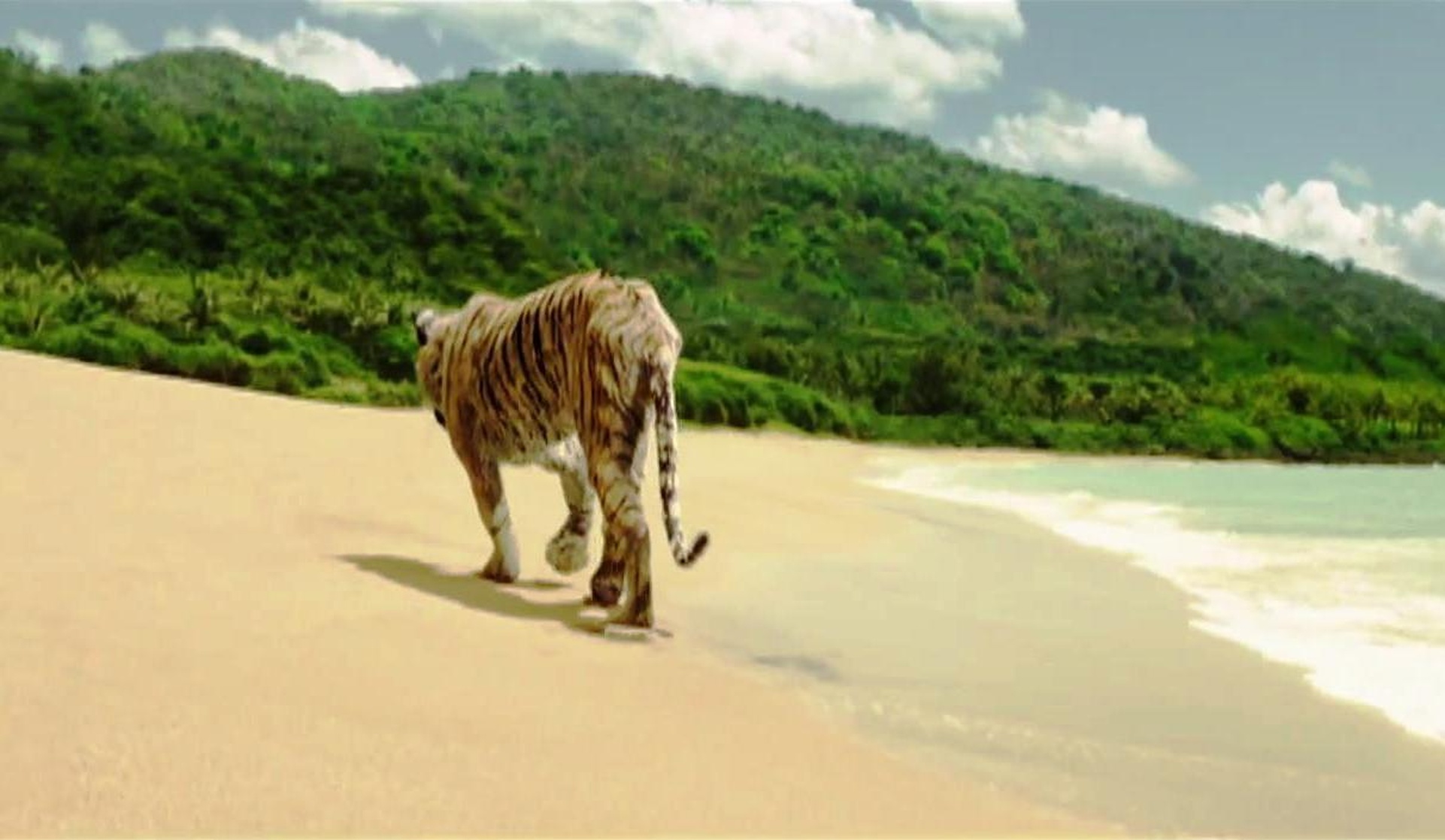 Life of Pi Life of Pi