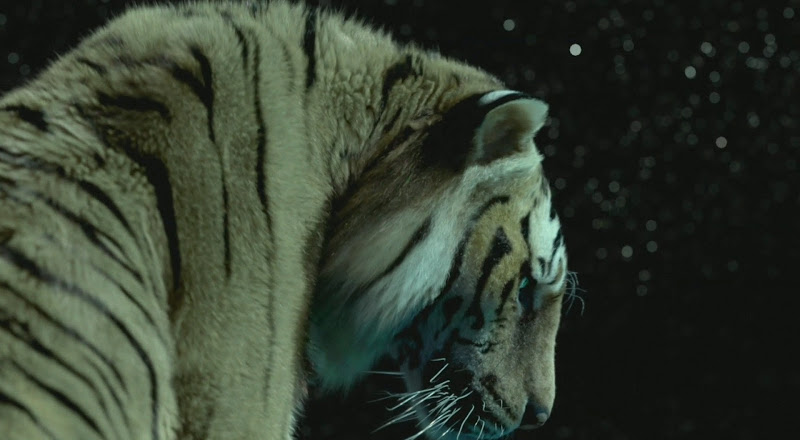 Life of Pi Life of Pi