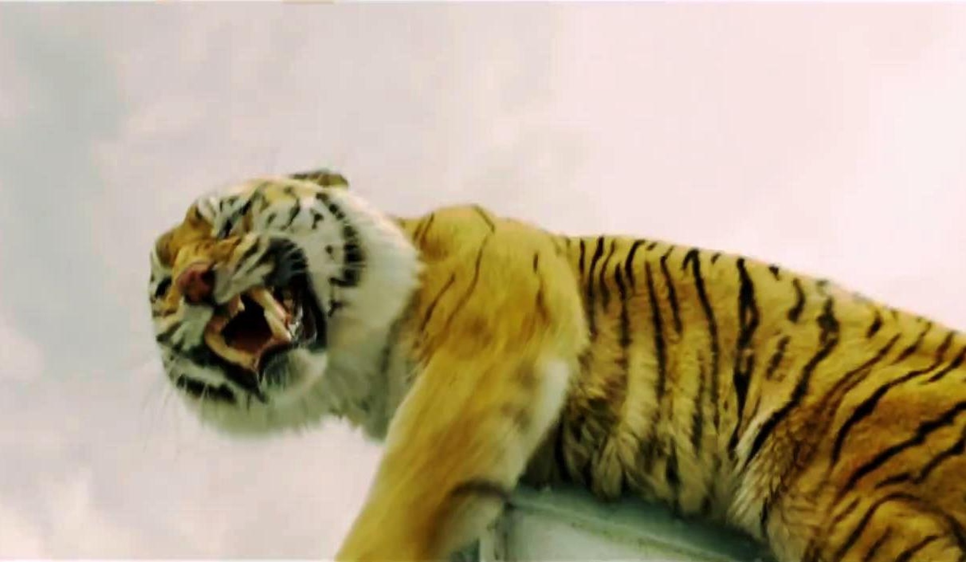 Life of Pi Life of Pi