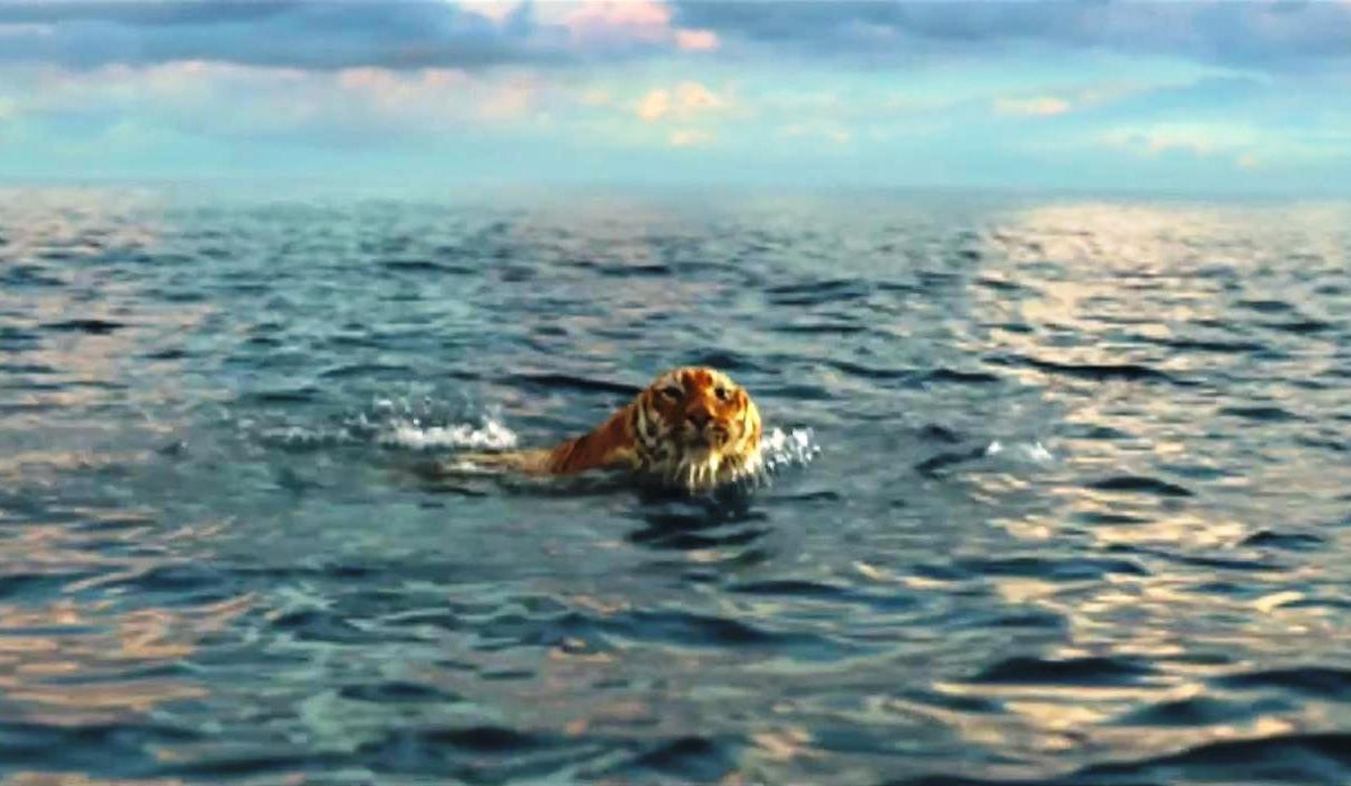 Life of Pi