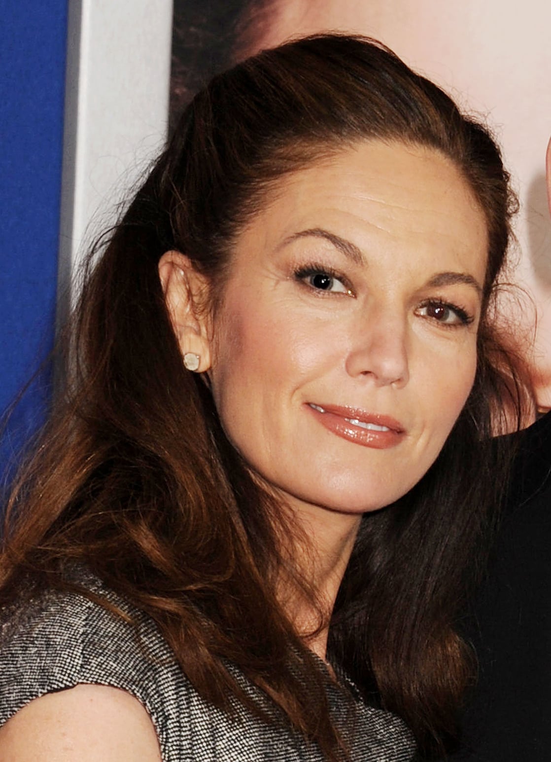 Picture of Diane Lane