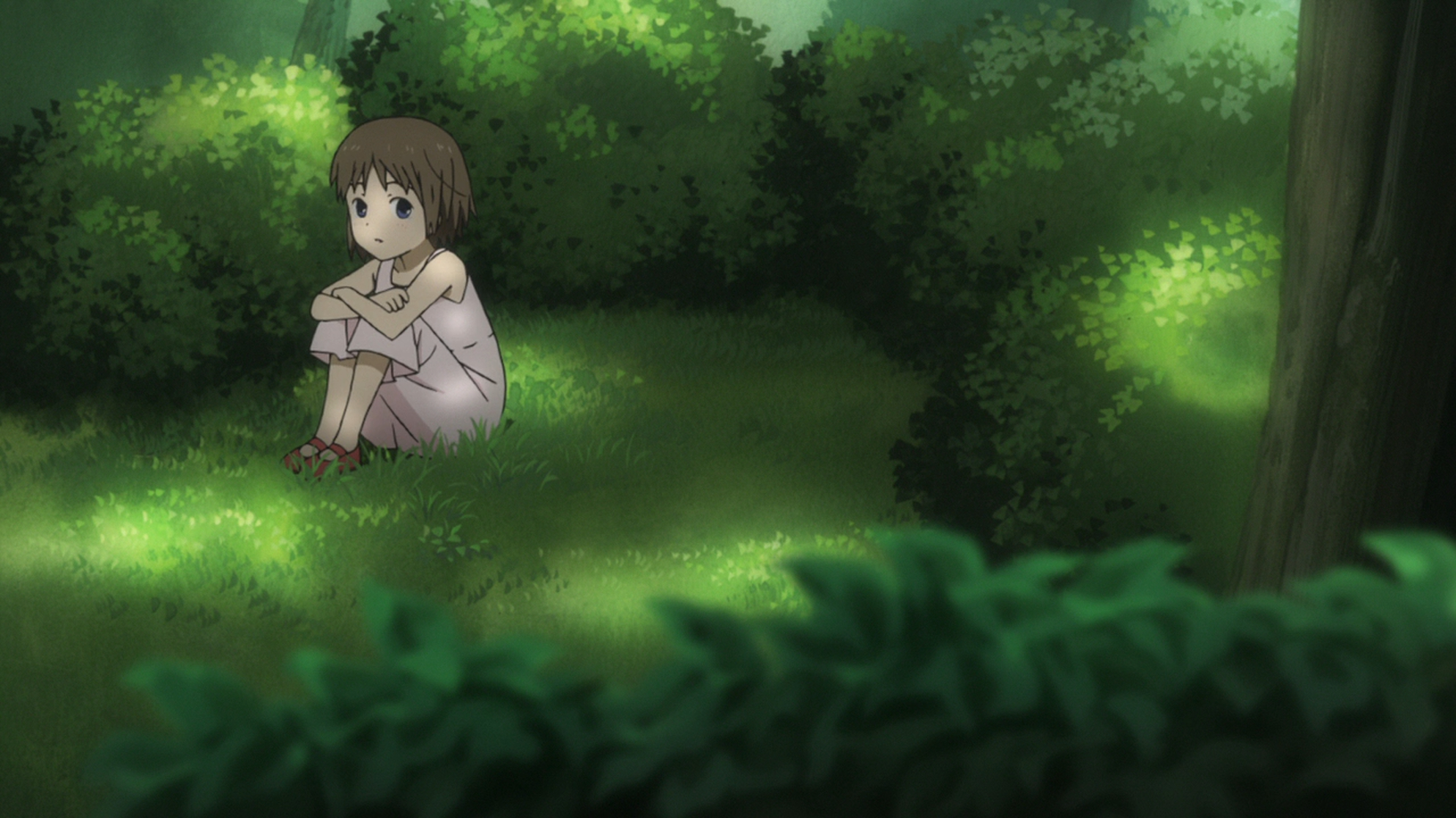 Into the Forest of Fireflies' Light
