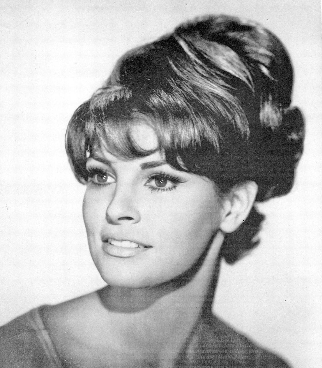 Picture of Raquel Welch