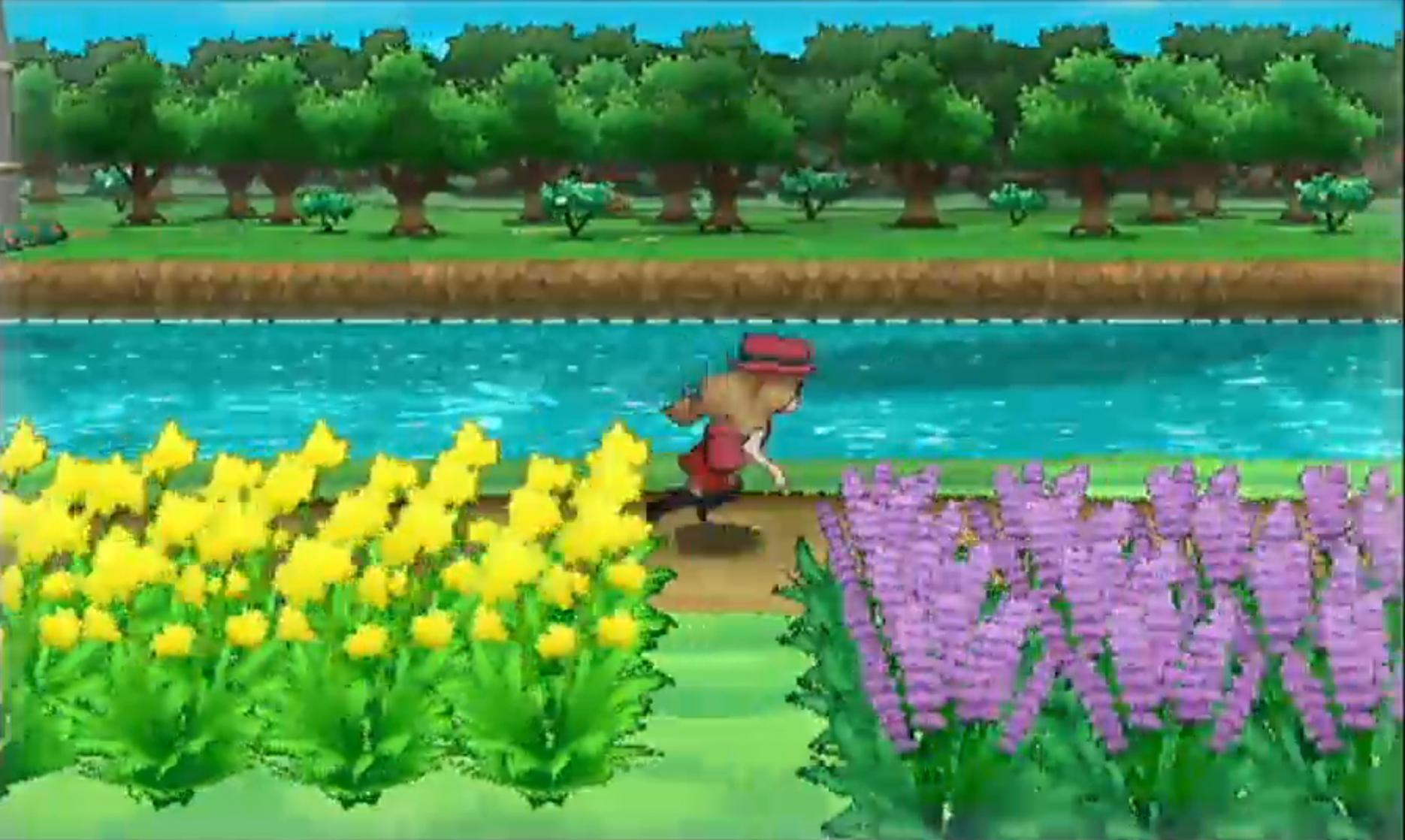 Pokémon Y