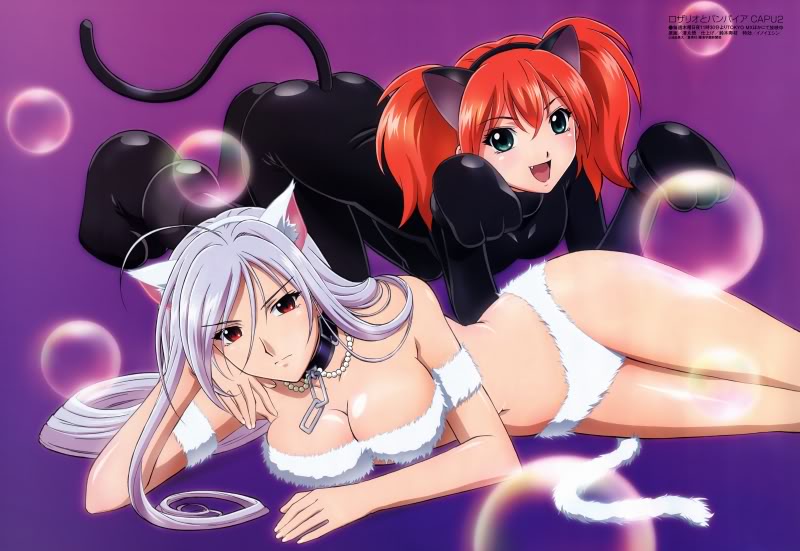 Rosario+Vampire, Vol. 2
