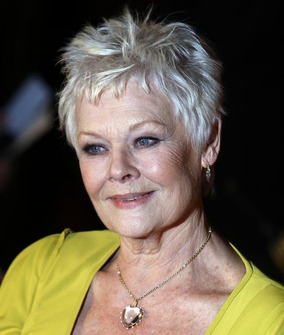 Picture of Judi Dench