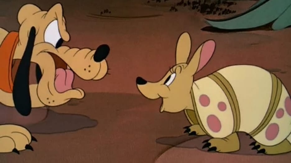 Picture of Pluto and the Armadillo