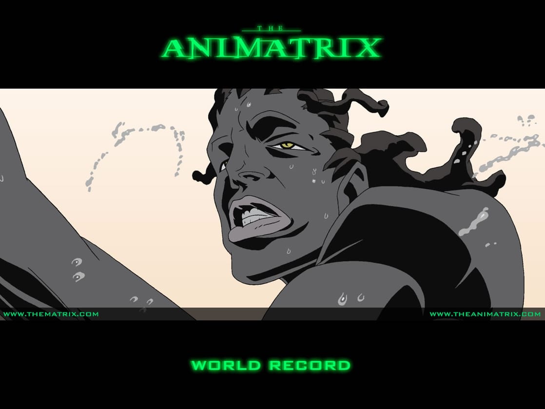 The Animatrix: World Record