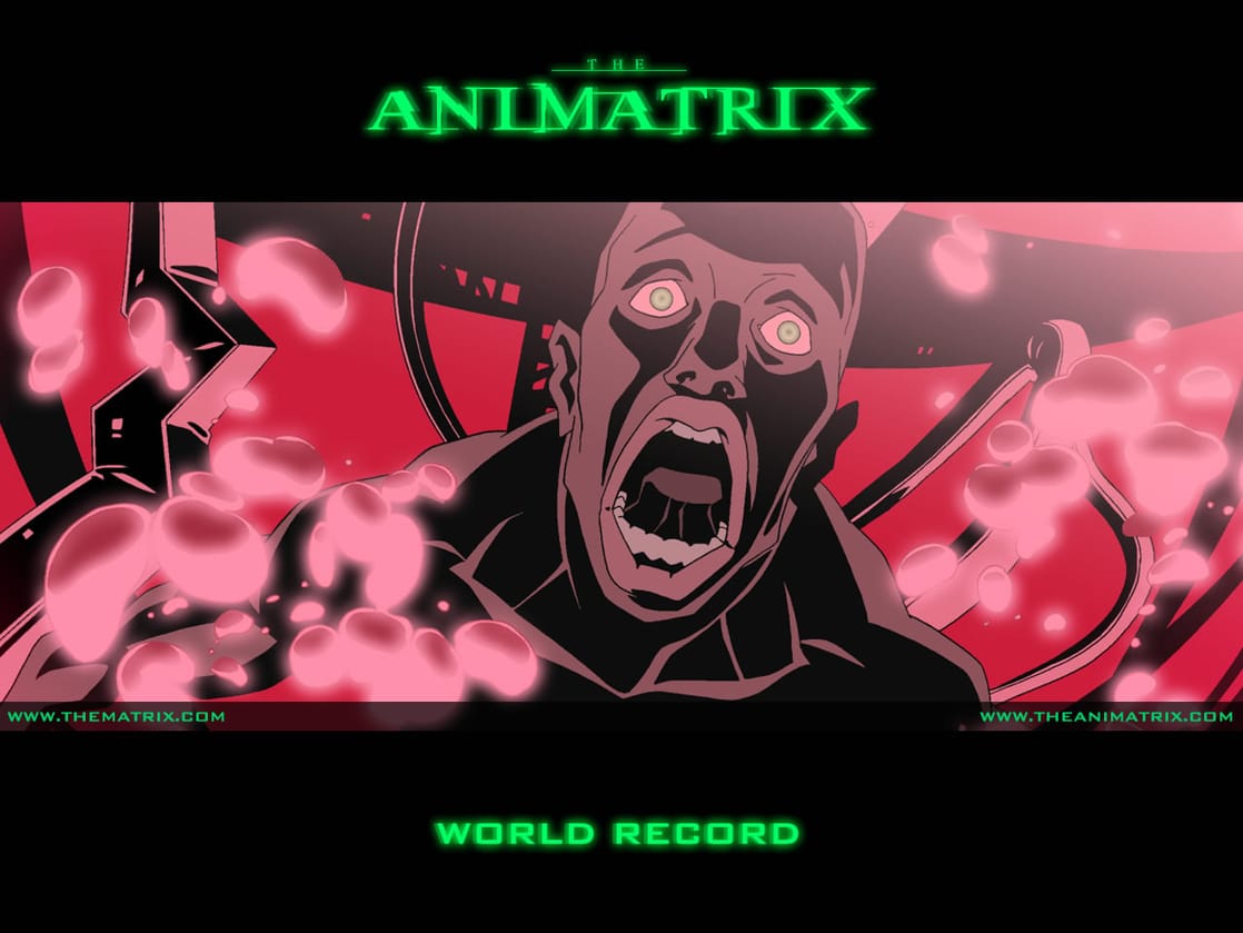 The Animatrix: World Record