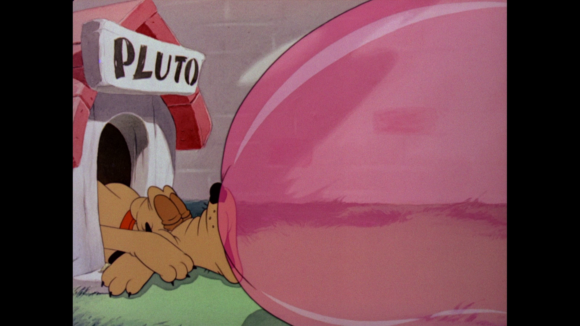 Pluto Junior