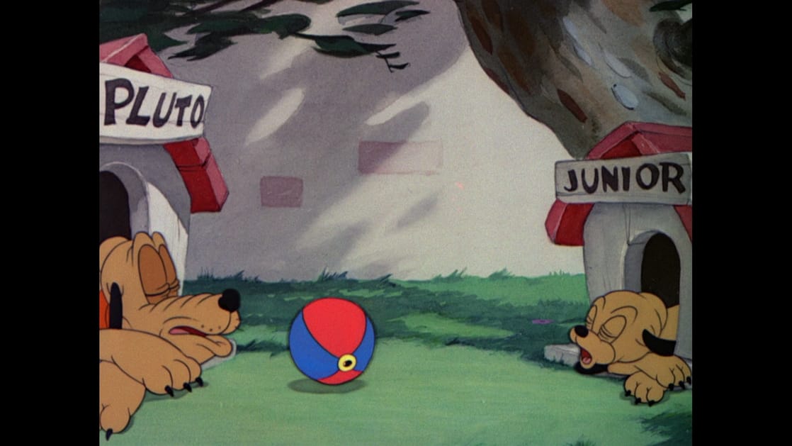 Pluto Junior