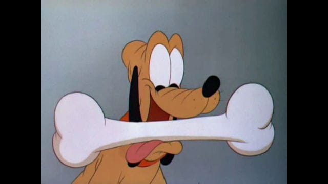 Picture Of Pluto At The Zoo