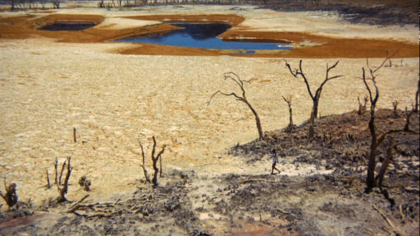 Walkabout (1971) Walkabout (1971)