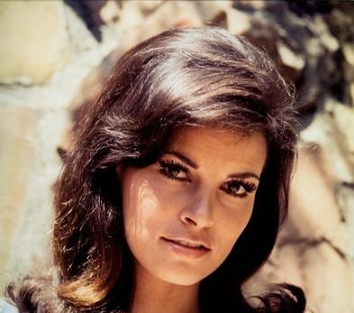 Raquel Welch image