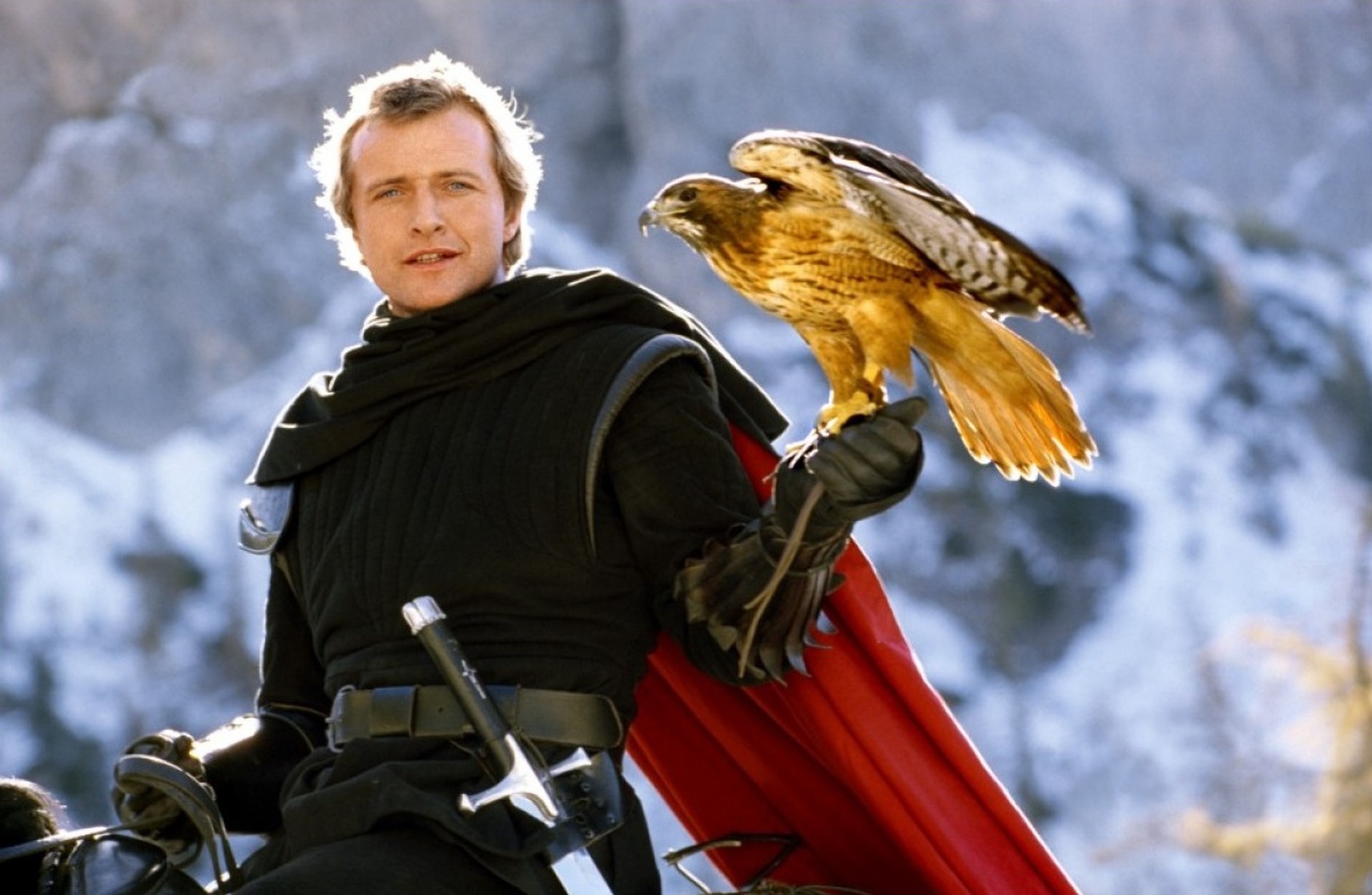 Ladyhawke